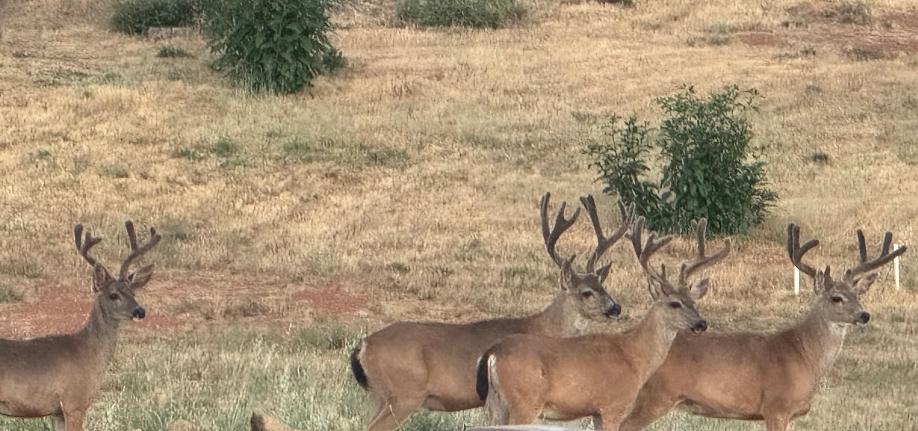 Oakhill Estates Location